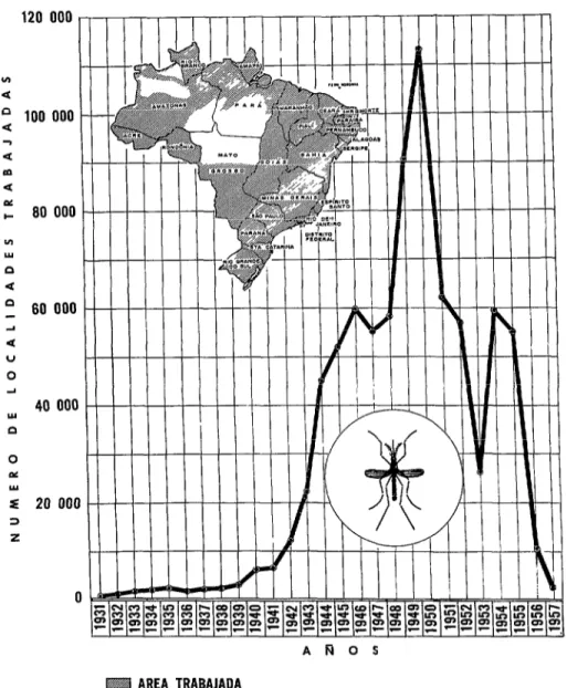 FIG.  3.-Area  trabajada  con  petróleo  y  área  trabajada  con  DDT  durante  la  campaña  de  erradicación  del Aedes aegypti en Brasil,  de  1931  a  1965