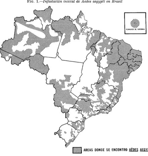 FIG.  l.-Infestación  inicial  de  Aedes  aegypti  en Brasil 