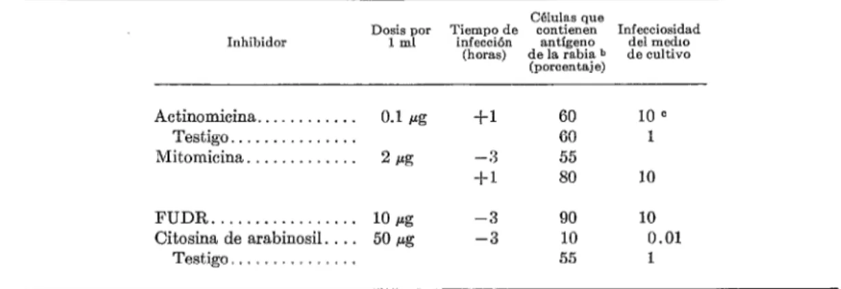 CUADRO  l-Efecto  de  los  inhibidores  metabólicos  en  la  proliferación  de  virus  rábico  en  células  BHK”  21  de  hámster