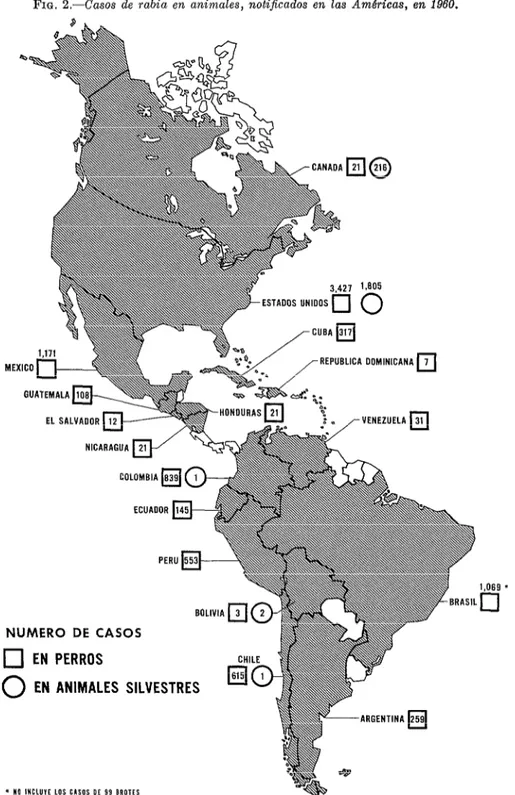 FIG.  2.-Casos  de  rabia  en  animales,  notijicados  en  las  Américas,  en  1960.  ,-VENEZUELA  q 31 EL  SALVAOOR)12  NICARAGUA~~~~~  --  C~LOMBIA~~~  1  k---d  ECUAt  L  IOR  NUMERO  DE  CASOS  cl  EN  PERROS  CHILE  :  0  EN  ANIMALES  SILVESTRES  *  