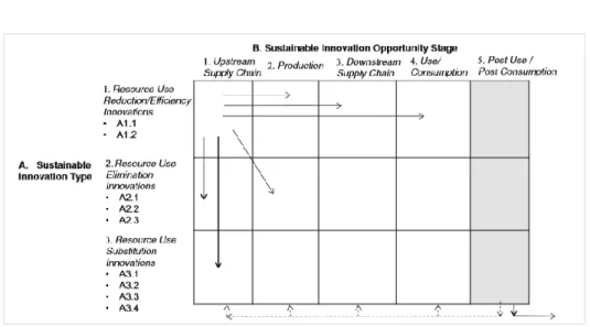 Figure 2 - Conceptual framework for sustainable innovation 