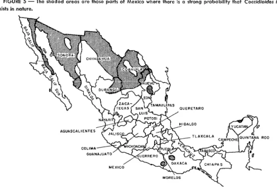 FIGURE  5  -  The  shaded  areos  are  thore  ports  of  Mexico  where  there  is  a  strong  probobility  that  Coccidioides  exists  in  nature