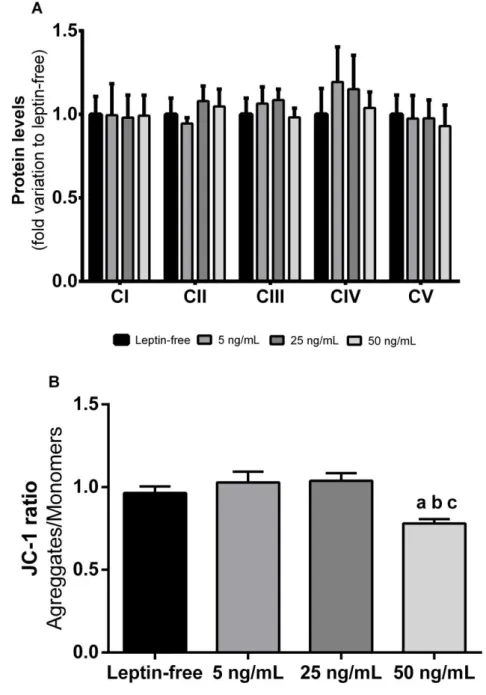 Figure  8:  Effect  of  leptin  in  rat  Sertoli  cells  mitochondria.  The  figure  shows  pooled  data  of  independent  experiments,  indicating  OXPHOS  protein  levels  (panel  A)  and  JC-1  ratio  (panel  B)  of  rat  Sertoli cells cultured in the a
