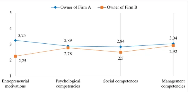 Figure 6 - Owners Entrepreneurial Potential Profile 