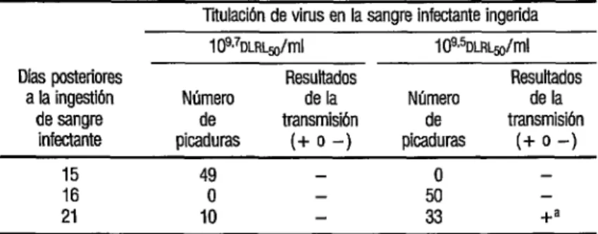 CUADRO  2.  ResMados de intentos de transmtir en el laboratorio el virus ORO  de hámsters  infectados a otros sanos usando Culex quinqrrefasciatus  (segundo experimento) 