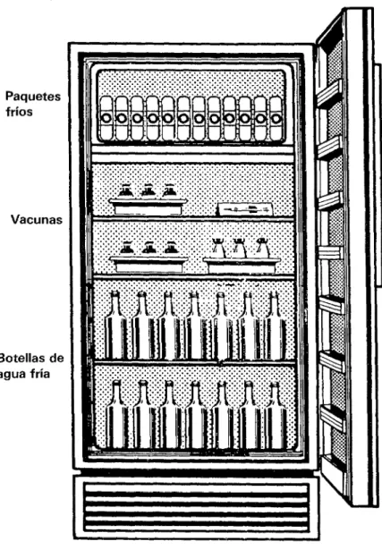 FIGURA  l-Refrigerador  con  paquetes  fríos  en  posición  vertical  sobre  la  plancha  evaporadora  del  compartimento  de  congelación