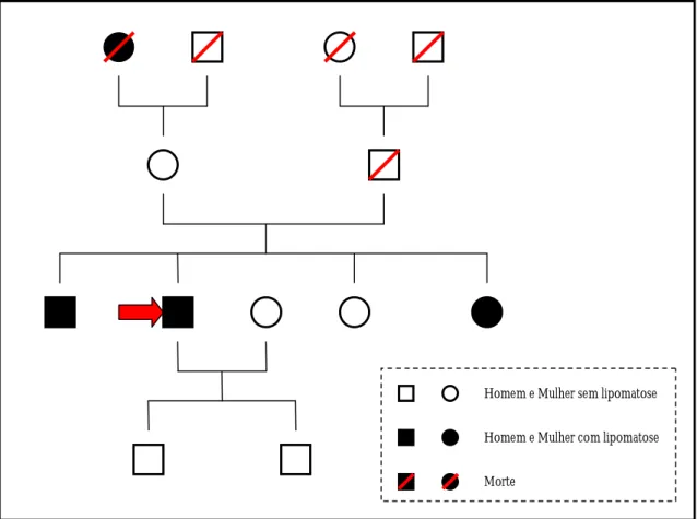 Figura 6 – Árvore genealógica da família do doente 3. 