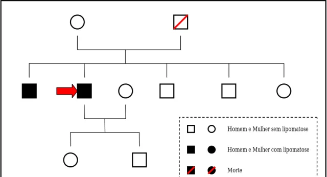Figura 9 – Árvore genealógica da família do doente 5. 