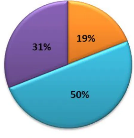 Figure 5: Interview mode.  (Source: Personal collection of data.) 