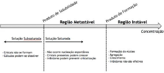 Figura  1.  Estados  de  saturação  (Figura  adaptada  do  livro  Urologia  Fundamental,  capítulo  12,  Fisiopatologia e Tratamento Clínico da Litíase Urinária)