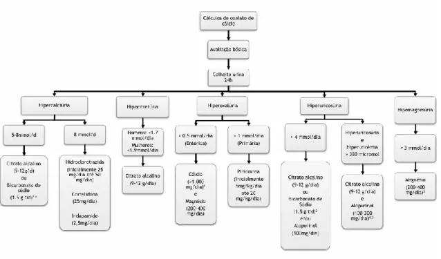 Figura 6. Algoritmo diagnóstico e terapêutico referente aos cálculos de oxalato de cálcio (Figura  adaptada de European Assoaciation of Urology – EAU) (4) 