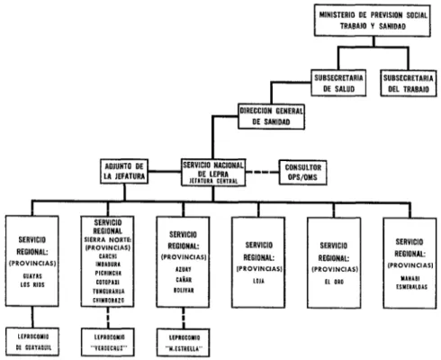 FIGURA  l-Organograma  del  Servicio  Nacional  de  Lepra,  dependencia  de  fa  Dirección  General  de  Sanidad,  Ministerio  de  Previsión Social,  Trabalo  y Sanidad  del  Ecuador