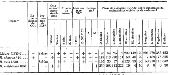 CUADRO  l-Tipificación  de  la  cepa  de  BruceUa  aislada  de  una  liebre  (Lepvs  europaeus)  en  Argentina,  1965