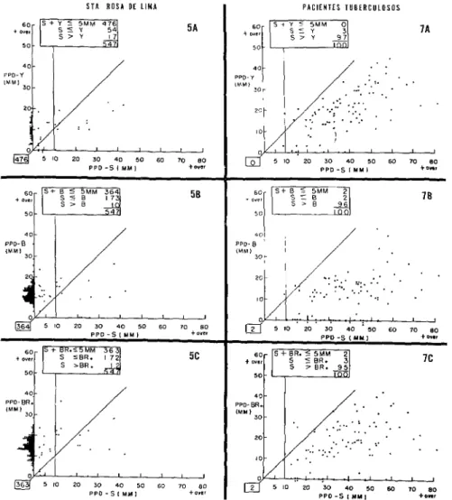 FIGURA  5  -  Correlación  de  tamaño  de  la  reacción  a  la  tuberculina  con  el  de  lo  reacción  al  PPD.Y,  PPD-6,  y  PPD-Br  en  los  alumnos  de  lo  escuelc~  elemental  Sonta  Rosa  de  Lima