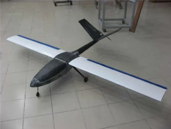 Figure 3.1 Olharapo light UAV prototype featuring its standard wing configuration [48]