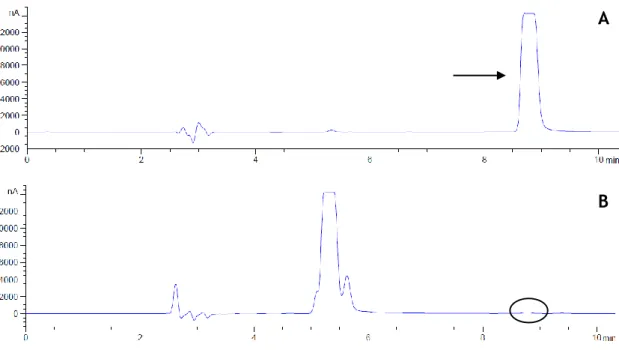Table 1 - Results of enzymatic activity for each condition tested for the endogenous proteins methylation