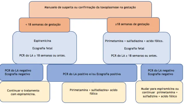 Figura 6 - Interpretação da toxoplasmose adquirida na gestação em situações de suspeitas ou  confirmação em laboratórios de referências