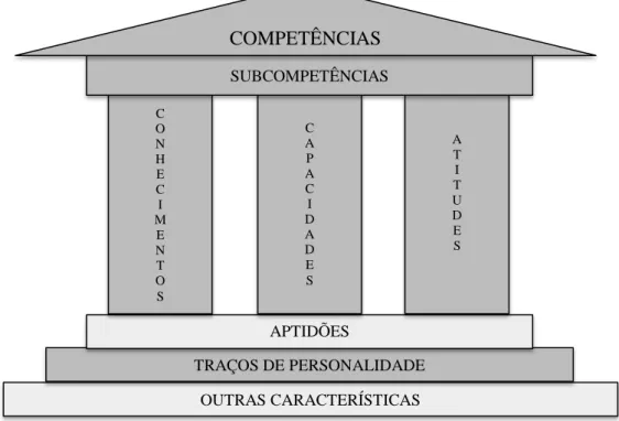 Figura 2 -  Modelo Arquitetónico de competência de Roe (2002) 