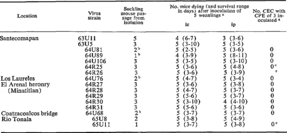 TABLE B-Pathogenicifies  of  Mexican  group  C  orbovirus  strains  for  weanling  mice  inoculated  ic  and  ip  and  for 
