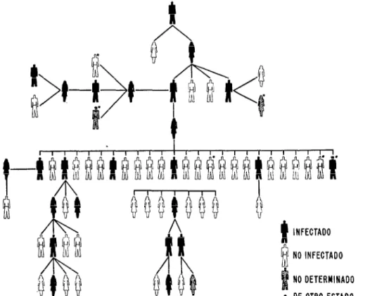 FIG.  l.-Brote  de  sífilis  temprana  entre  ?rn  grupo  de  jóvenes  de  I&lt;en¿?lckg,  195S.t 