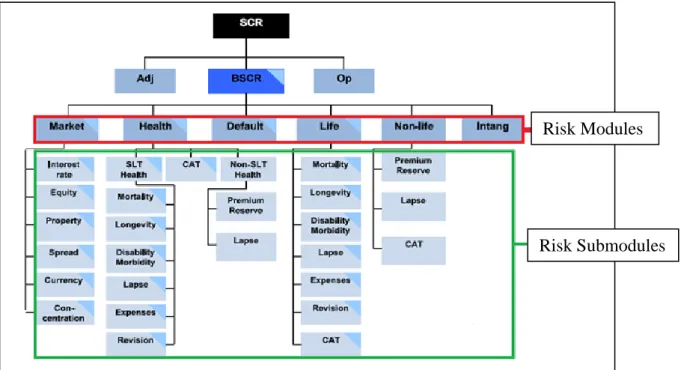 Figure 4: Risks involved in SCR calculation 