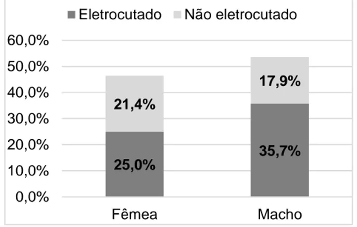 Gráfico 5. Frequências relativas de machos e fêmeas no grupo de rapinas eletrocutadas e não  eletrocutadas