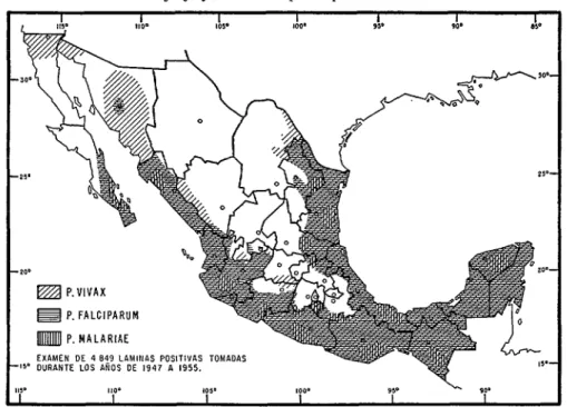 FIG.  7.-Organograma  de la  Comisión  Nacional  para  la  Erradicación  del  Paludismo  en  México,  1966 