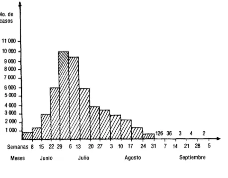 FIGURA 1.  Número de casos registrados  por semana durante  la epidemia de dengue hemorrá-  gico,  Cuba,  1981