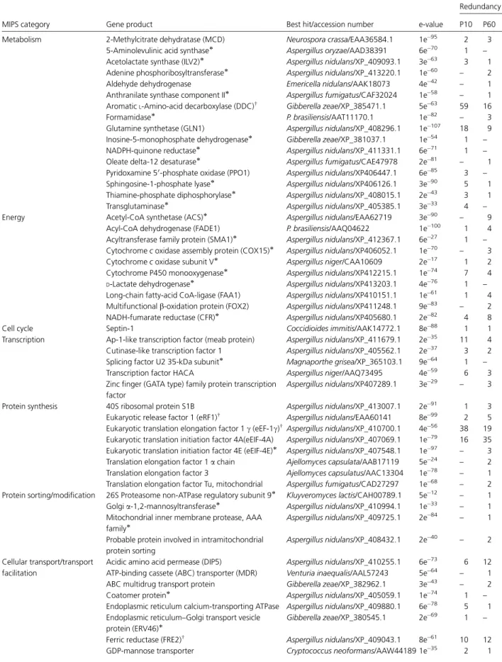 Table 1. Annotated ESTs with high abundance in yeast cells during incubation in human plasma vs