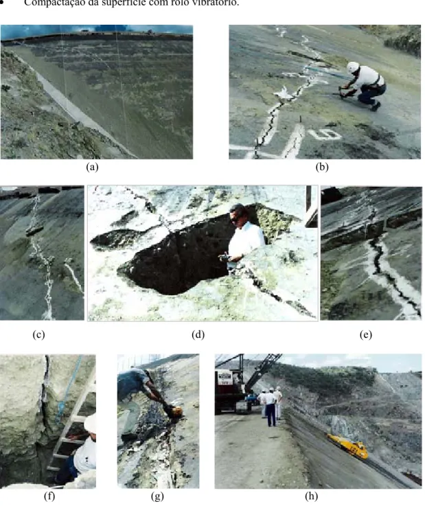 Figura 2.12 – Barragem de Xingó: (a) Vista geral da área afetada pelas trincas; (b) Instalação  de pinos de referência para acompanhar a evolução das trincas; (c) Aspecto da trinca ao longo 