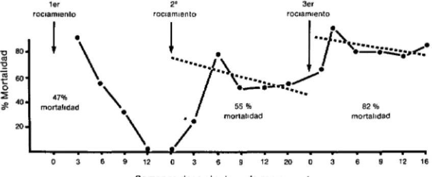 FIGURA  2-Cambios  en  la  mortalidad  de  An.  albimanus  observados  con  la  técnica  de  trampa  de  cortina  901  (modificada)