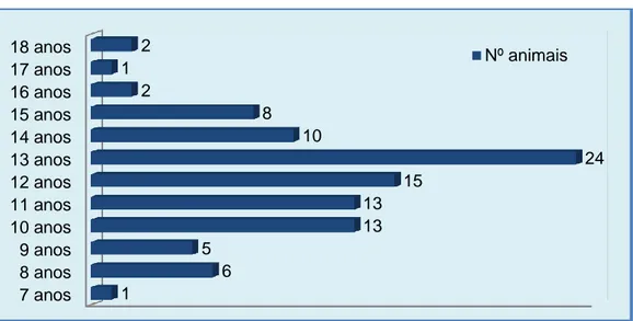 Gráfico 6- Distribuição dos cães da amostra inicial, por idade 