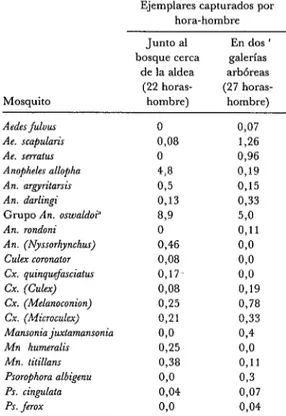 CUADRO  l-Resultados  de  capturas  hechas  entre  las  17h  OO, 15h  OO y  las  19h  30  en  mayo  de  1982  cerca  de  Rincón  del  Tigre  (al  borde  del  bos-  que)  yen  dos  galerias  arbóreas  (lugares  B y  C)
