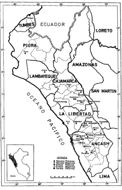 FIGURA  l-Procedencia  de  los  animales  sacrificados  en  el  camal  de  la  ciudad  de  Chimbate  (departamento  de  Ancash,  Perú),  en  los  que  se  investigó  leptospirosis,  con  indicación  de  los  casas  serológicamente  positivos