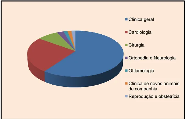 Gráfico 1. Consultas de clínica geral e de referência assistidas no âmbito do estágio