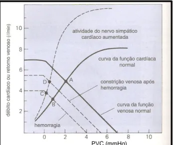 Gráfico  2.  Adaptações  cardiovasculares  à  hemorragia.  Adaptado  de  Mohrman  e  Heller  (2007)