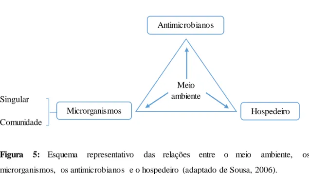 Figura  5:  Esquema  representativo  das  relações  entre  o  meio  ambiente,  os  microrganismos,  os antimicrobianos  e o hospedeiro  (adaptado de Sousa, 2006)