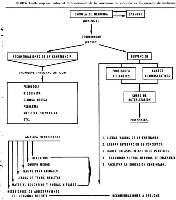 FIGURA  l-Un  esquema  sobre  el  fortalecimiento  de  la  enseñanza  de  nutrición  en  las  escuelas  de  medicina
