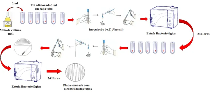 Figura 1 – Preparação dos tubos                                                   