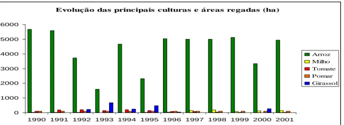 Fig.  13:  Evolução  das  principais culturas  regadas entre 1990  e  2001  no  Vale  do  Sado