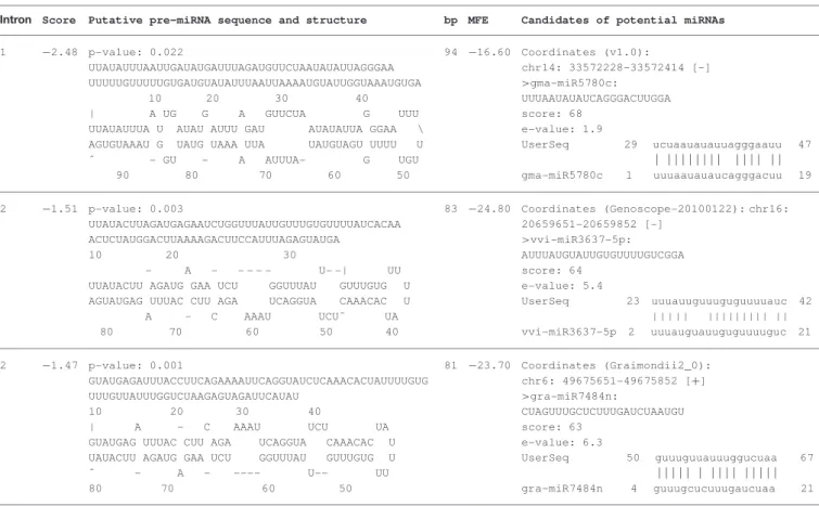 TABLE 2 | Computational prediction of intronic miRNA precursors in AOX genes of Hypericum perforatum determined at miR-abela software (http://www.mirz.unibas.ch/cgi/pred_miRNA_genes.cgi) using as prediction threshold-10.