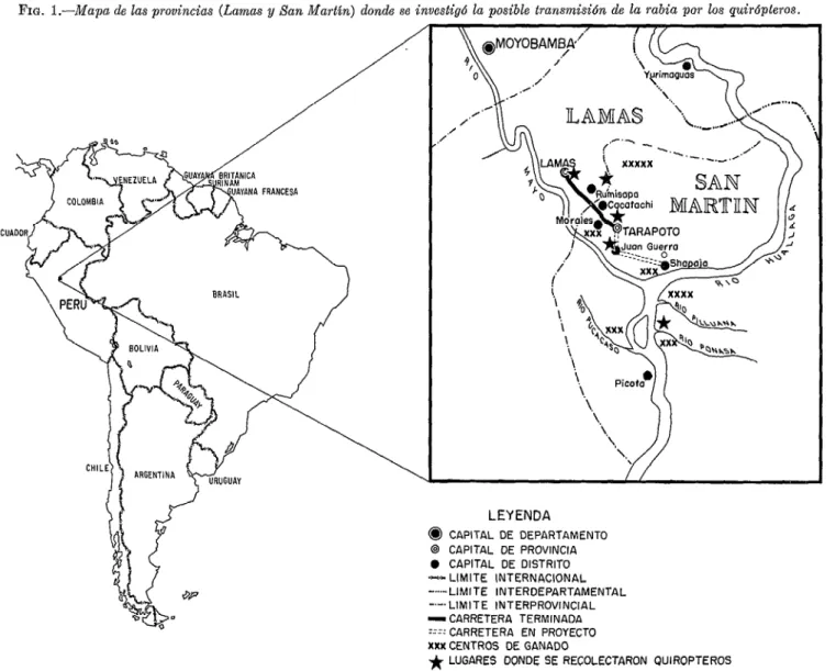 FIG.  l.-Mapa  de las provincias  (Lamas  y San  Martin)  donde  se investigó  la  posible  transmisión  de  la  rabia  por  los  quirópteros