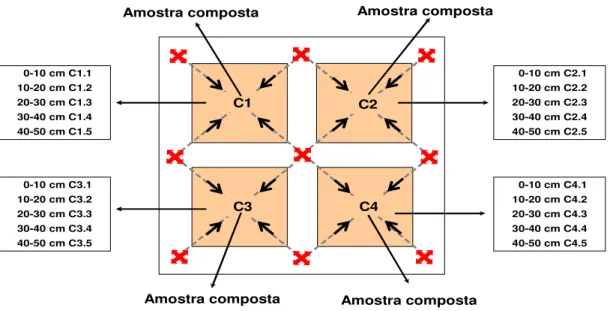 Figura 2 - Esquema da amostragem para caracterização inicial do solo das parcelas de cada bloco da  área experimental de campo