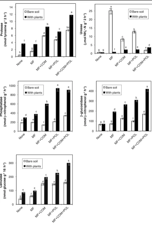 Fig. 2 Effects of treatments and plants on soil enzymatic activities. For each  enzy-matic activity, columns with the same letter are not significantly different as estimated by the Newman – Keuls test at p <0.05