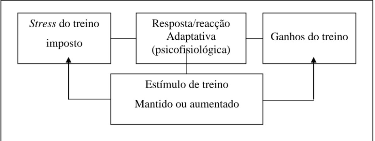 Figura 6. Adaptação positiva ao stress do treino  (Adaptado de Silva, 1990; retirado de Cruz, 1996) 
