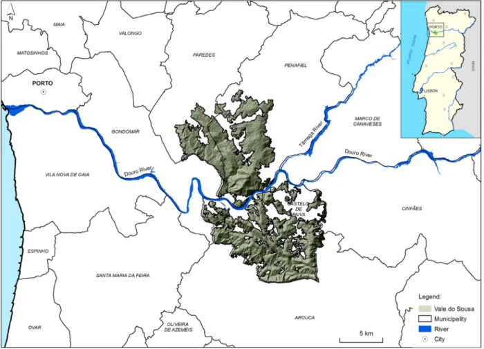 Fig. 1. Location of Vale do Sousa case study area.