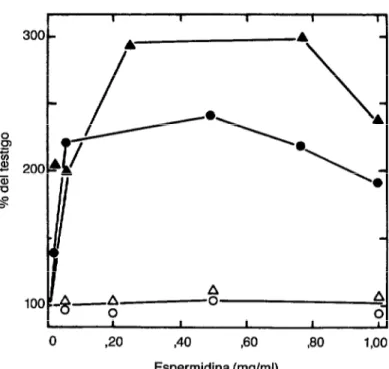 Figura  4.  Efecto  de  la  espermidina  en  la  transformación  de  Badlus  subtilis 