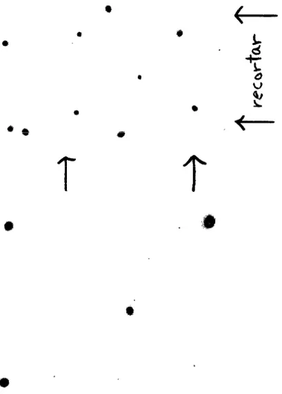 Figura  6.  Cultivo  en  caja  de  Petri  de  Desulfovibrio  vulgaris.  La  fotografía  original  (arriba)  se  redujo  50%  para  adaptarla  a  la  anchura  de  la  página
