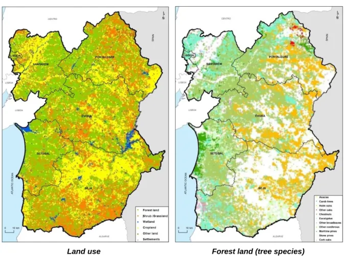 Figure 7. Land use and forest land of Alentejo region 