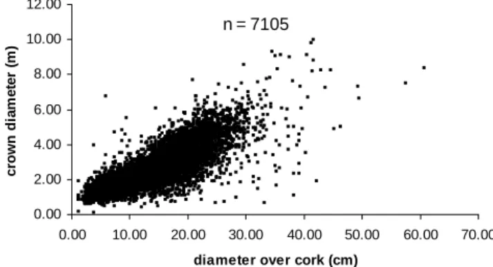 Figure 2 -  Relationship between crown diameter and diameter over cork